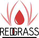 Redgrassgames