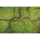 Kraken Wargames Gaming Mat - River Valley 6x4