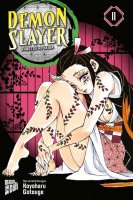 Demon Slayer - Kimetsu no Yaiba 11