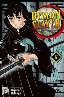 Demon Slayer - Kimetsu no Yaiba 12