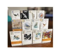 Flügelschlag/ Wingspan Fan Art Cards, Erweiterung (EN)